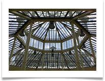 Glasshouse Roof - Helen Kulczycki